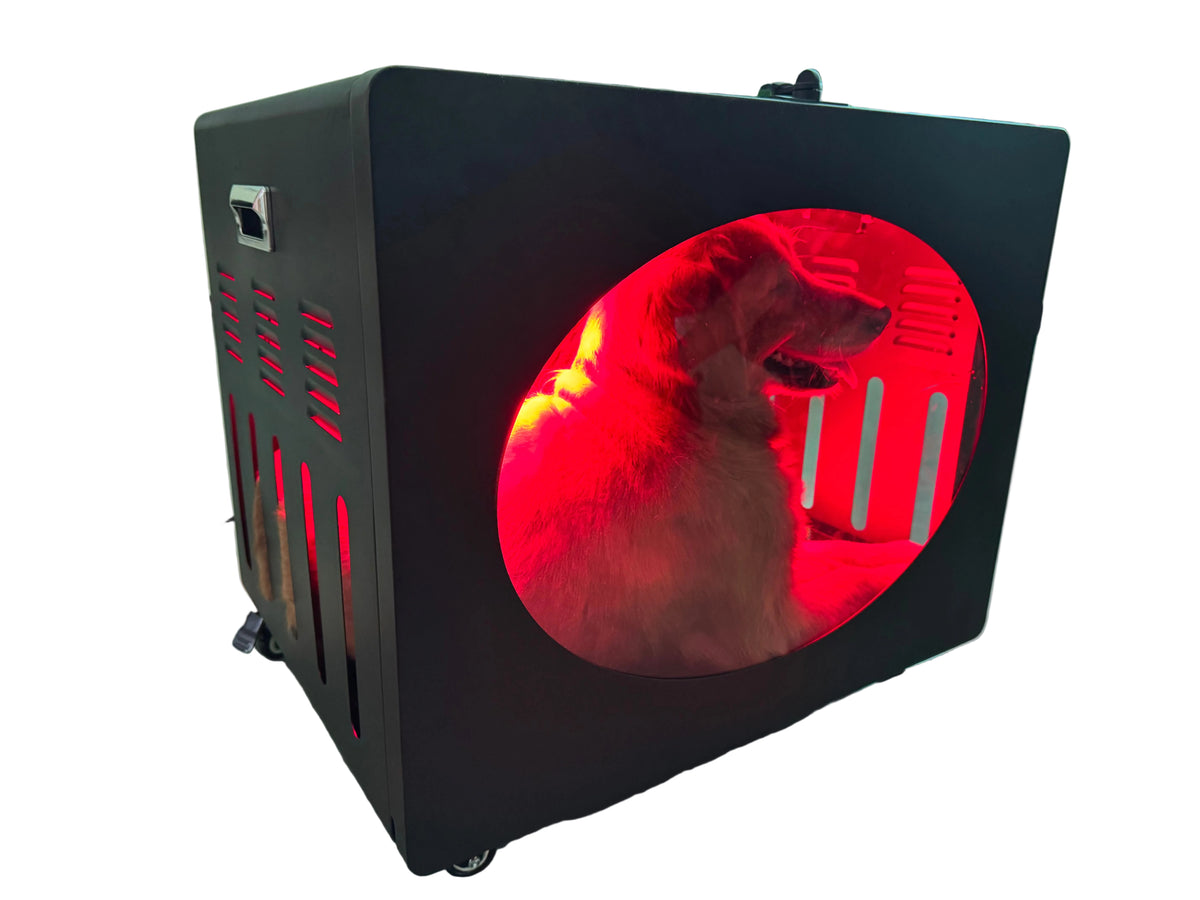 A black pet dog house with a red illuminated circular window, containing a dog getting red light therapy.