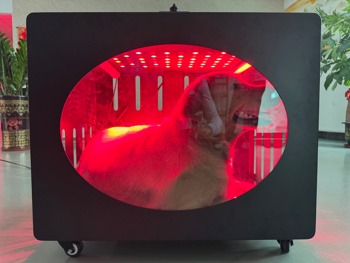 PT-LC100 Red Light Therapy Pet Bed