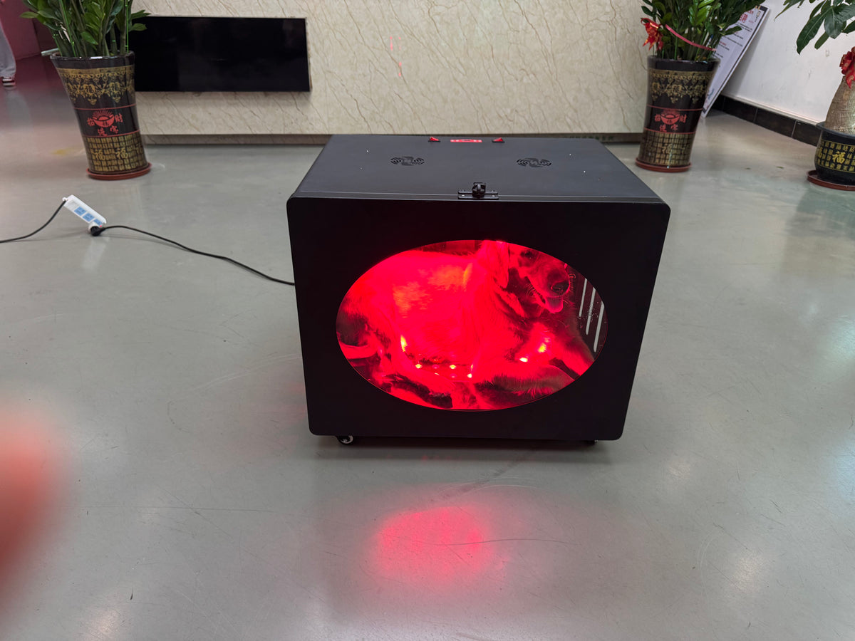 PT-LC100 Red Light Therapy Pet Bed