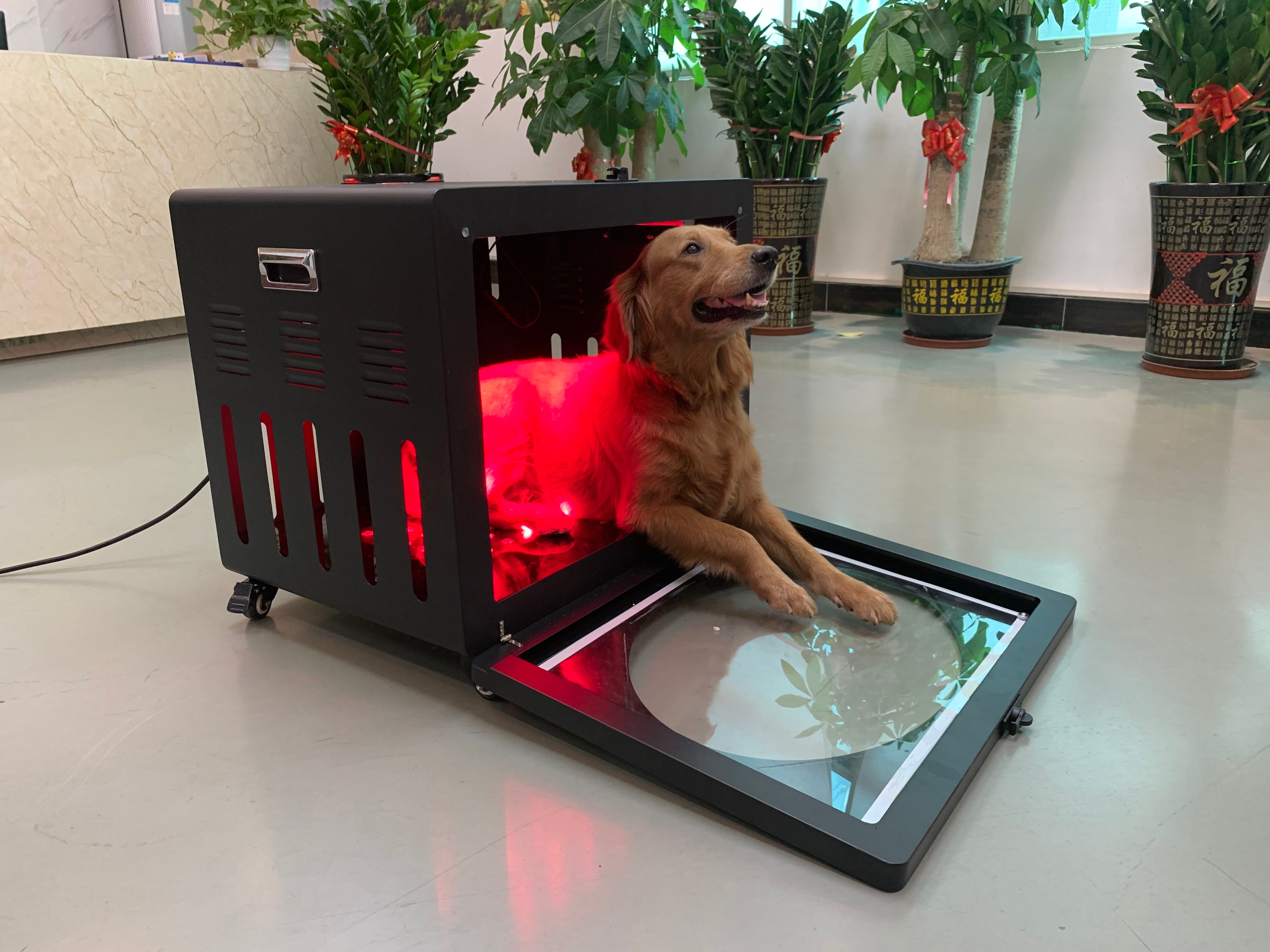 PT-LC100 Red Light Therapy Pet Bed